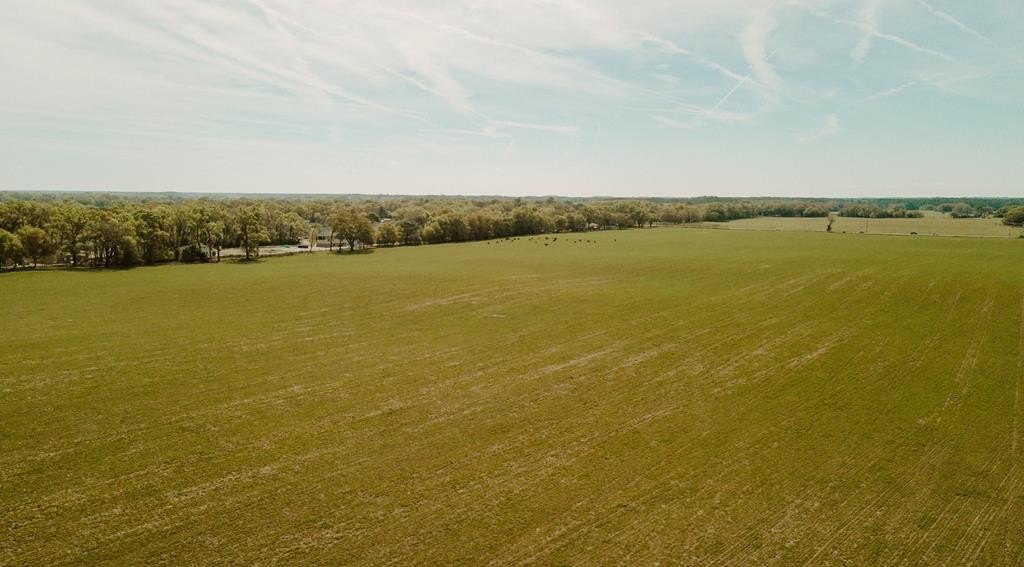 160 Acres Near Dunnellon, FL