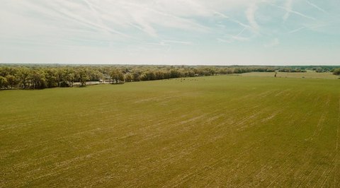 160 Acres Near Dunnellon, FL