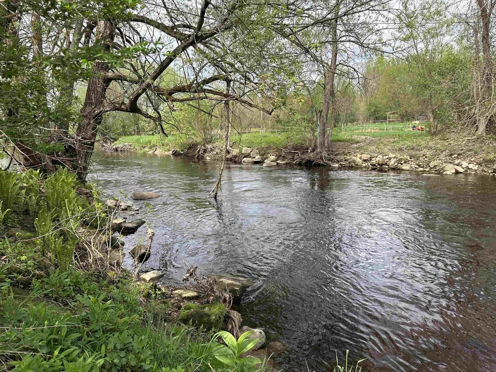 Picture 8