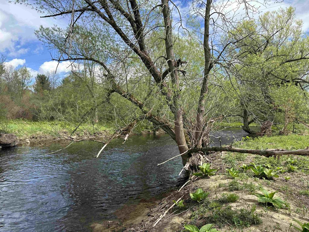 Picture 13