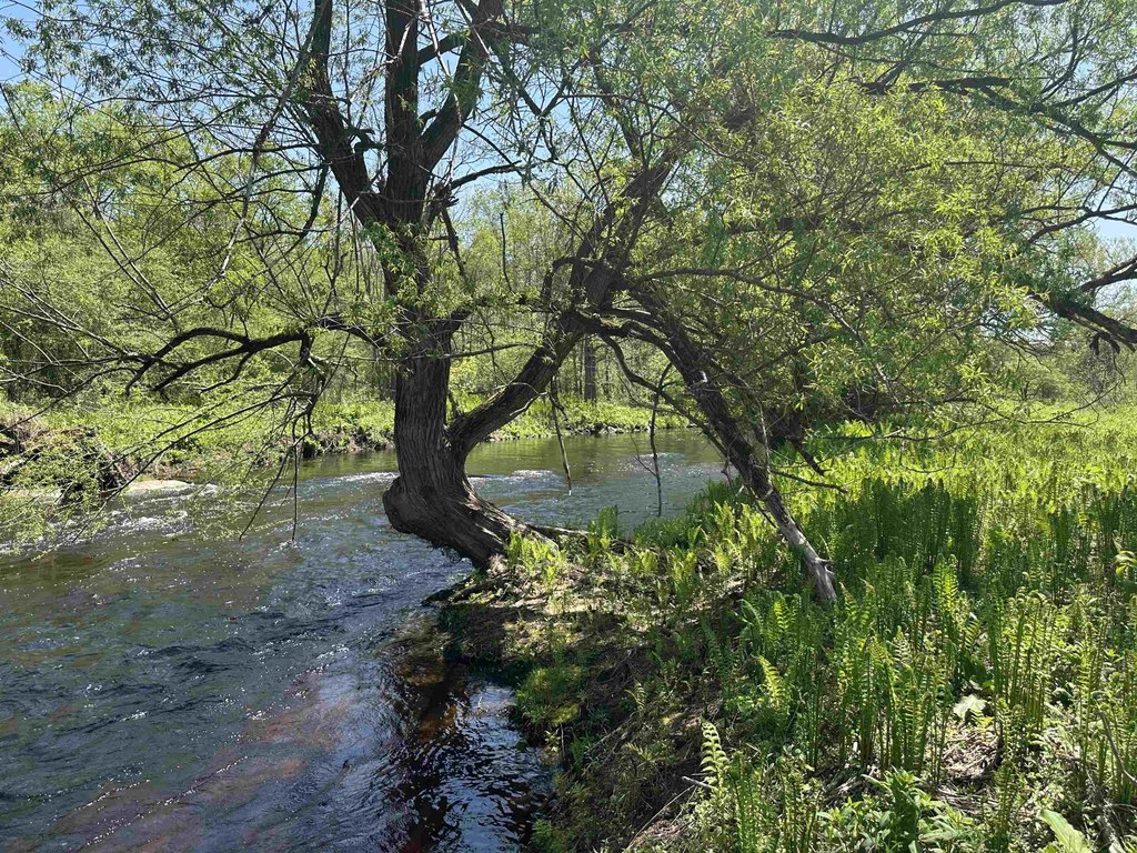 Picture 21