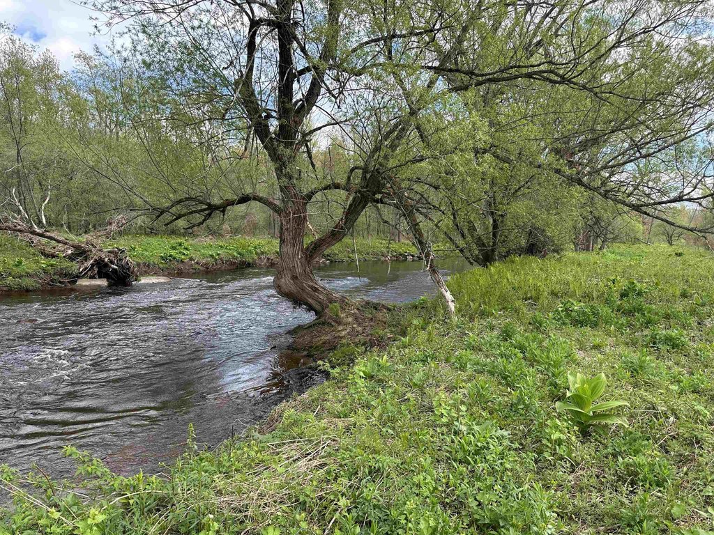 Picture 17