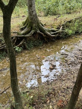 51 Acres Near Glasgow Square