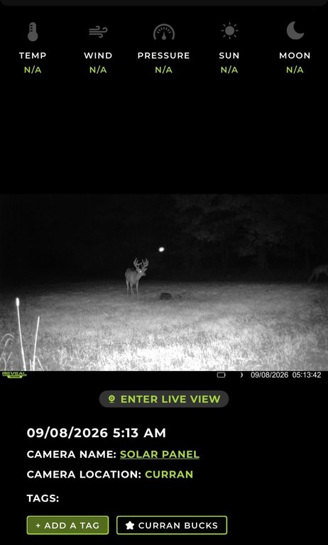 Picture 12