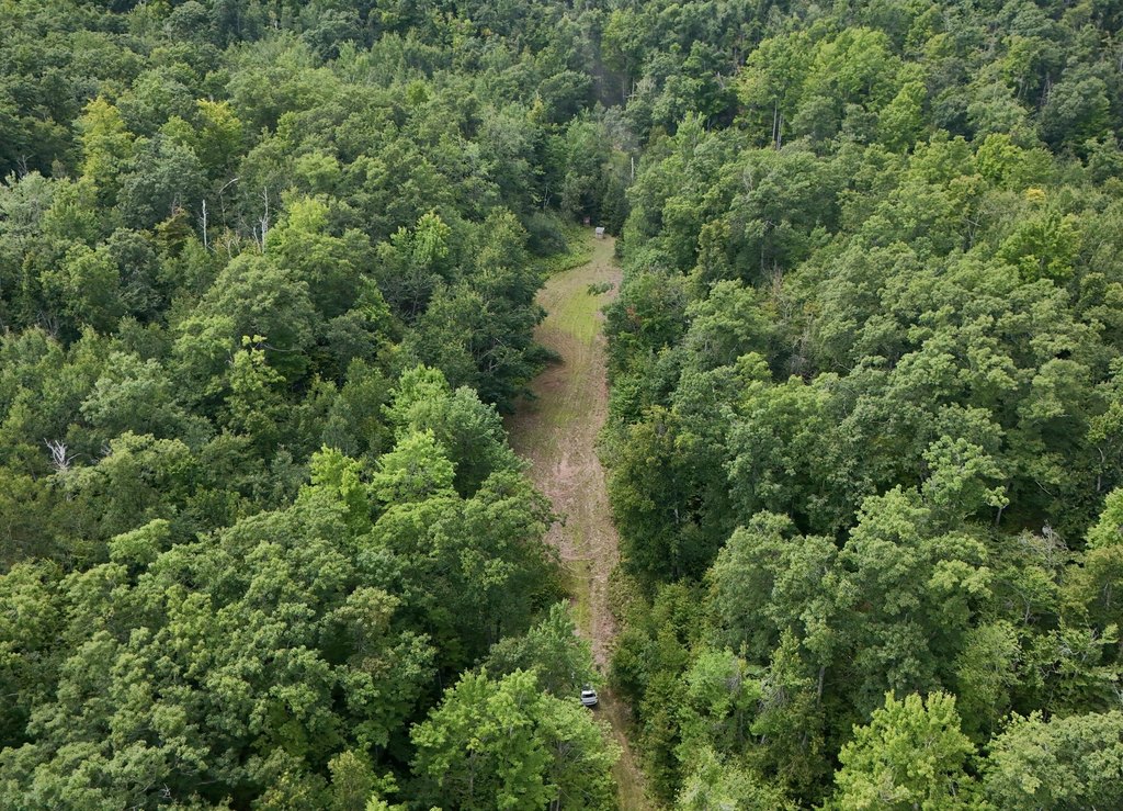 Picture 3