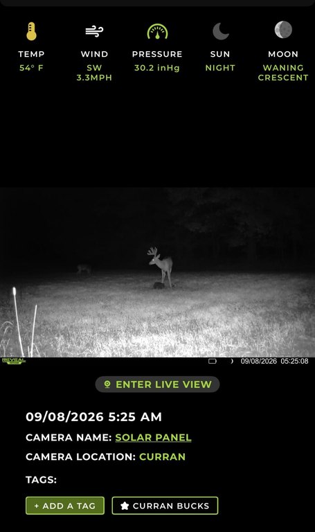 Picture 13