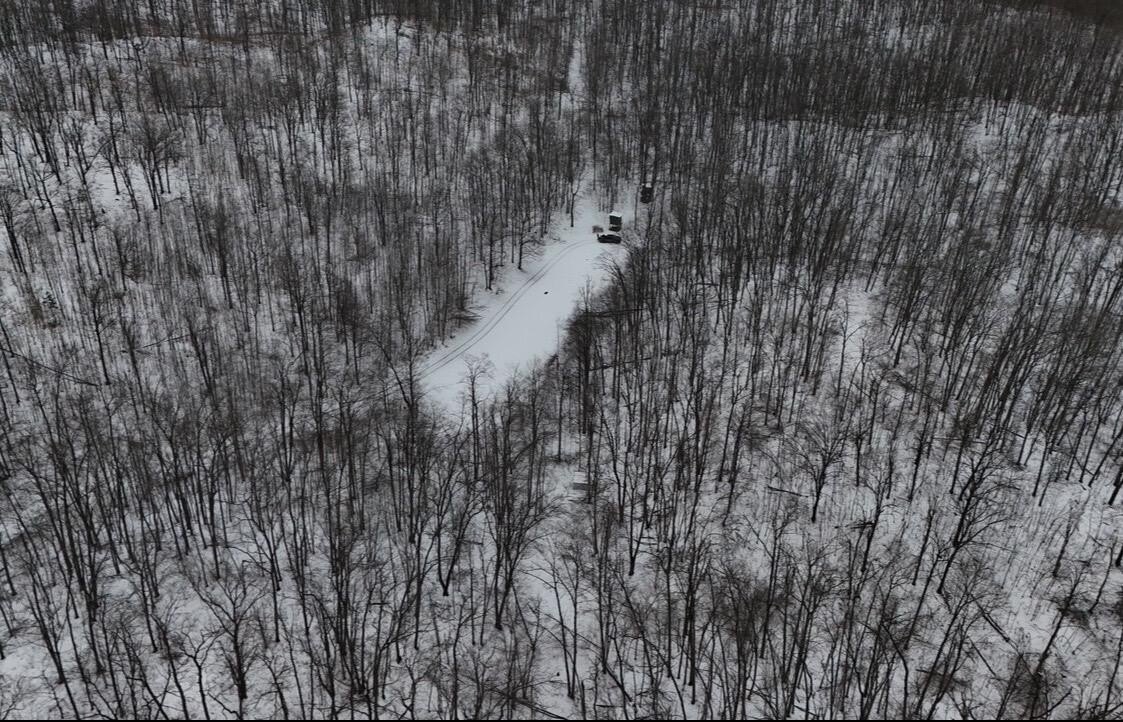 Curran, MI Hunting Land