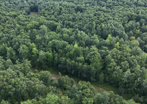 Hunting Land with Hardwood