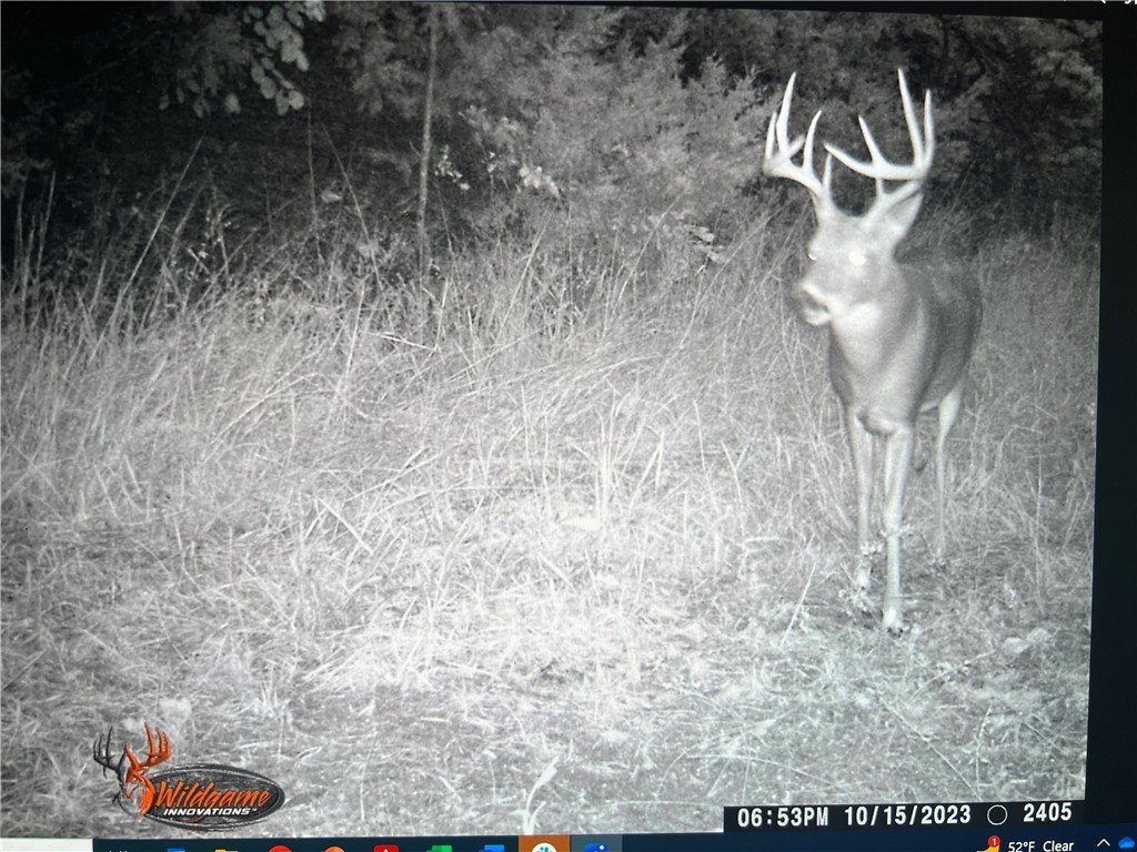 Picture 11