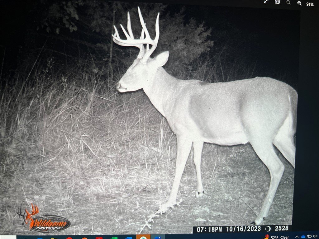 Picture 10