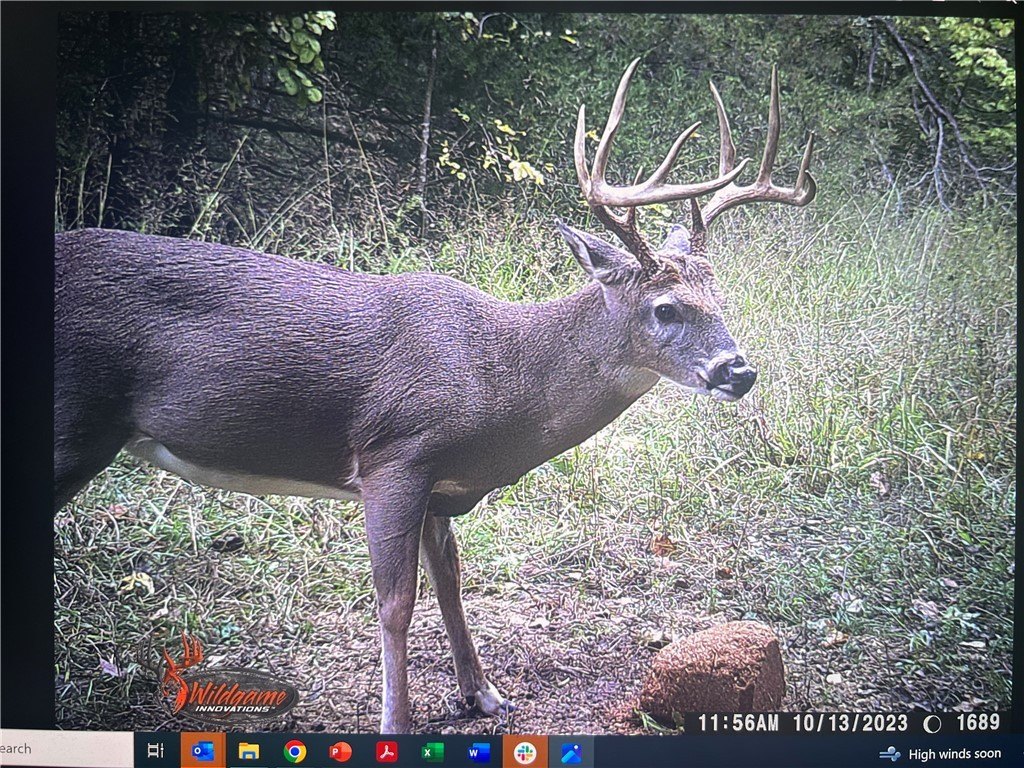 Picture 15