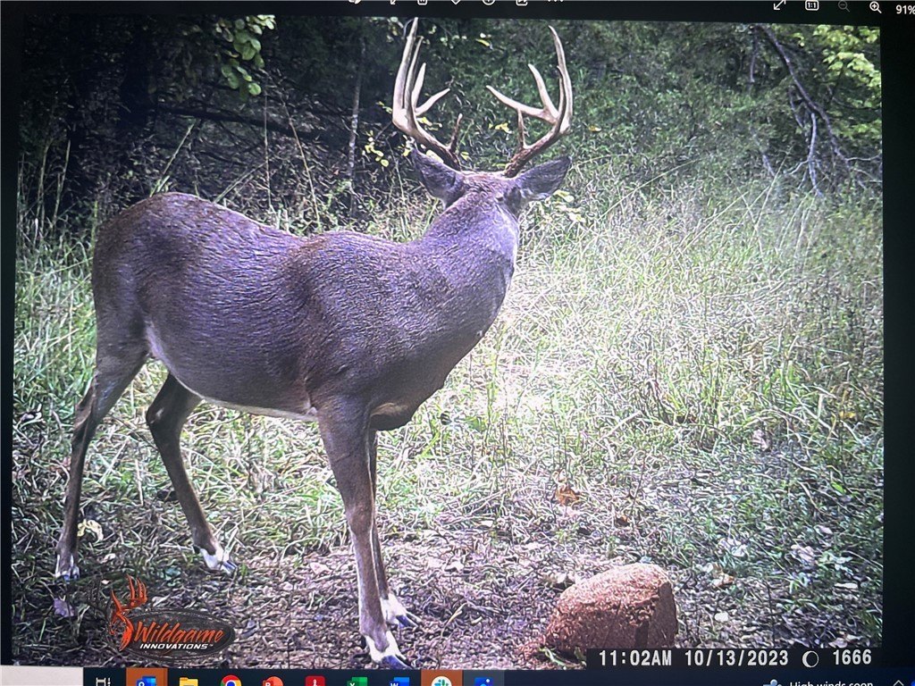Picture 14