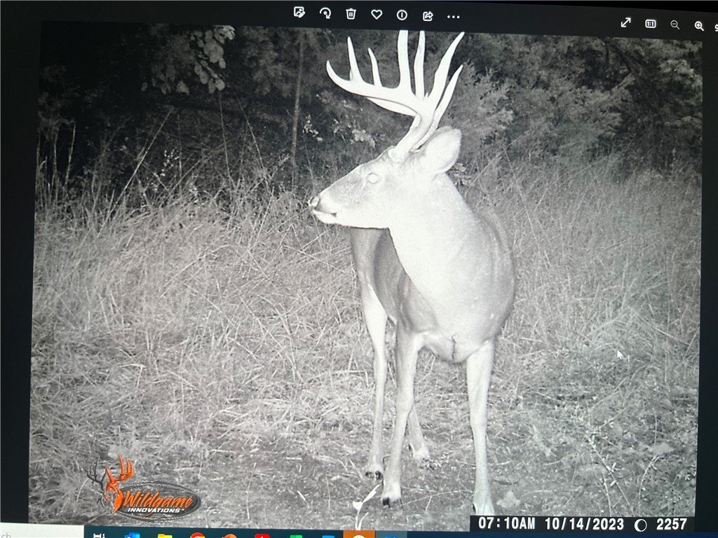 Picture 12