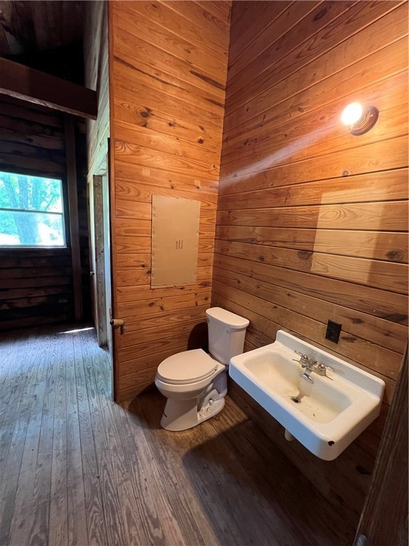 Picture 6