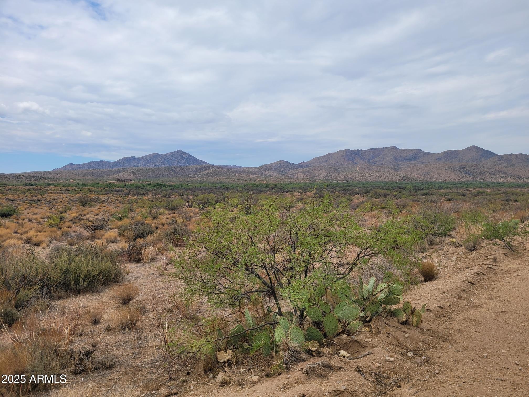83+ Acres of Pristine Land