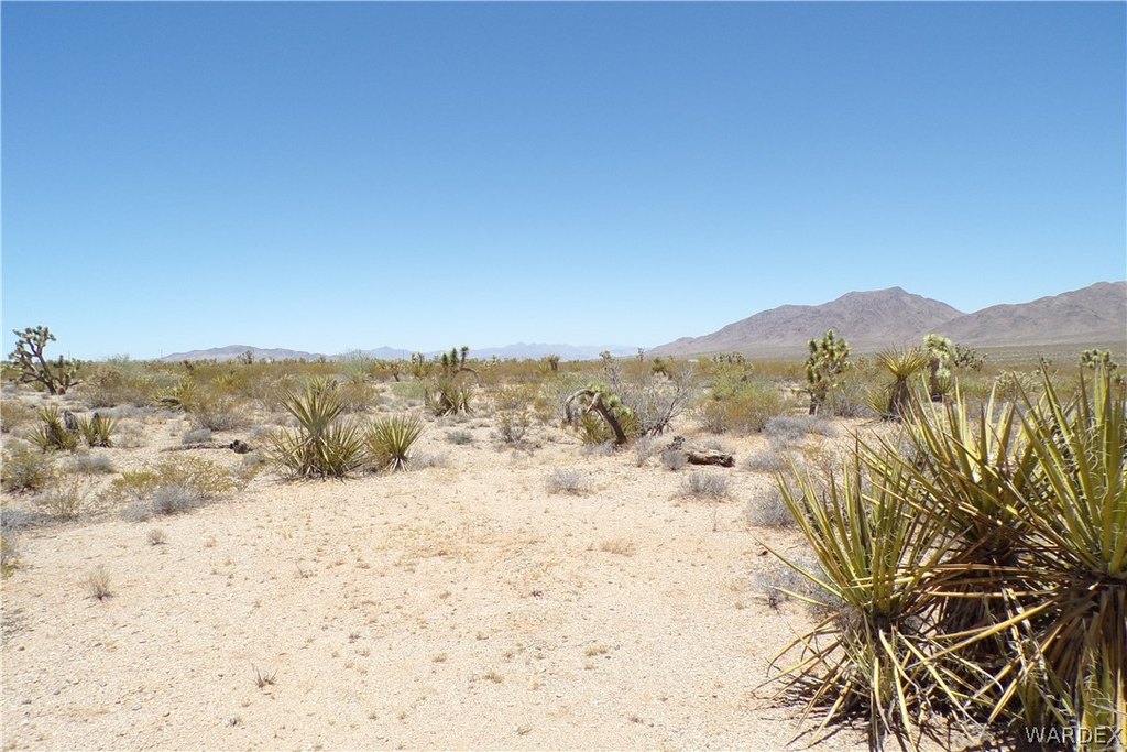 Picture 10
