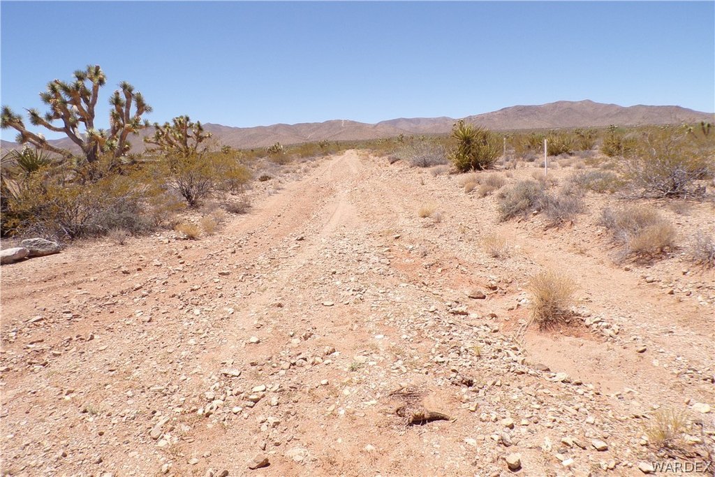 Picture 6