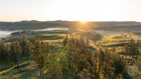 Montana Land with Pine Trees