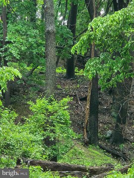 Wooded Land in Breinigsville, PA