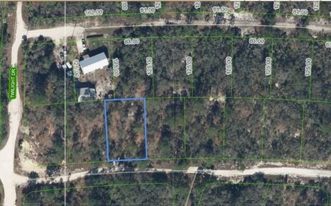Vacant Land - Lake Placid, FL