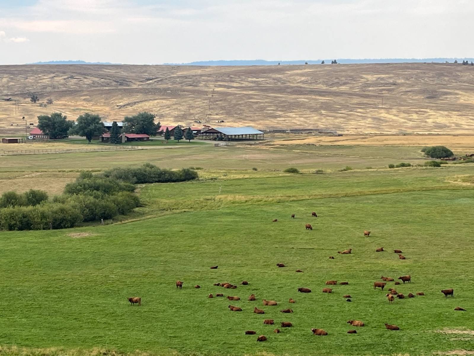 Secluded Ranch with Extensive Acreage