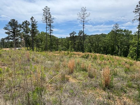 Talking Rock Vacant Lot For Sale