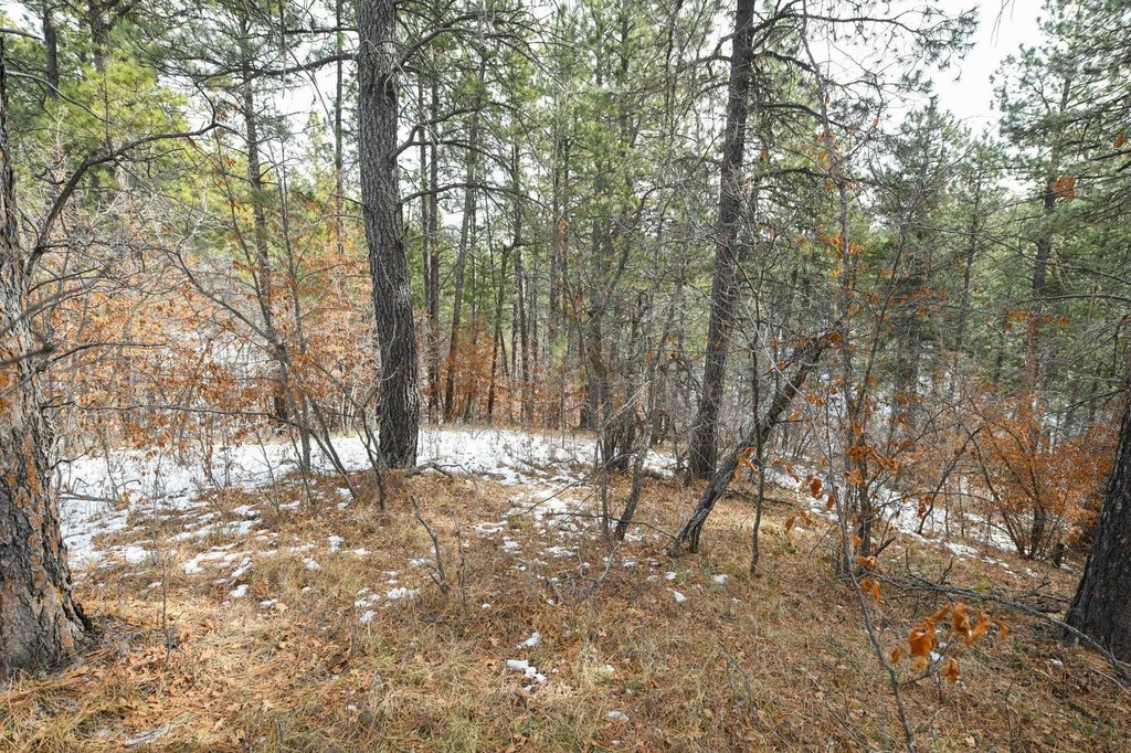 Picture 25
