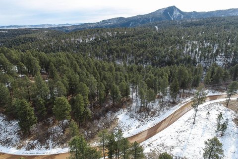 Forested Residential Building Lot