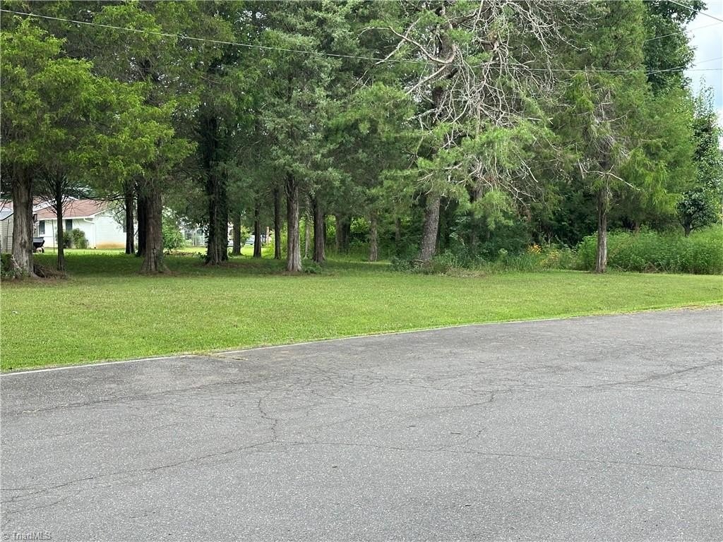 Picture 7