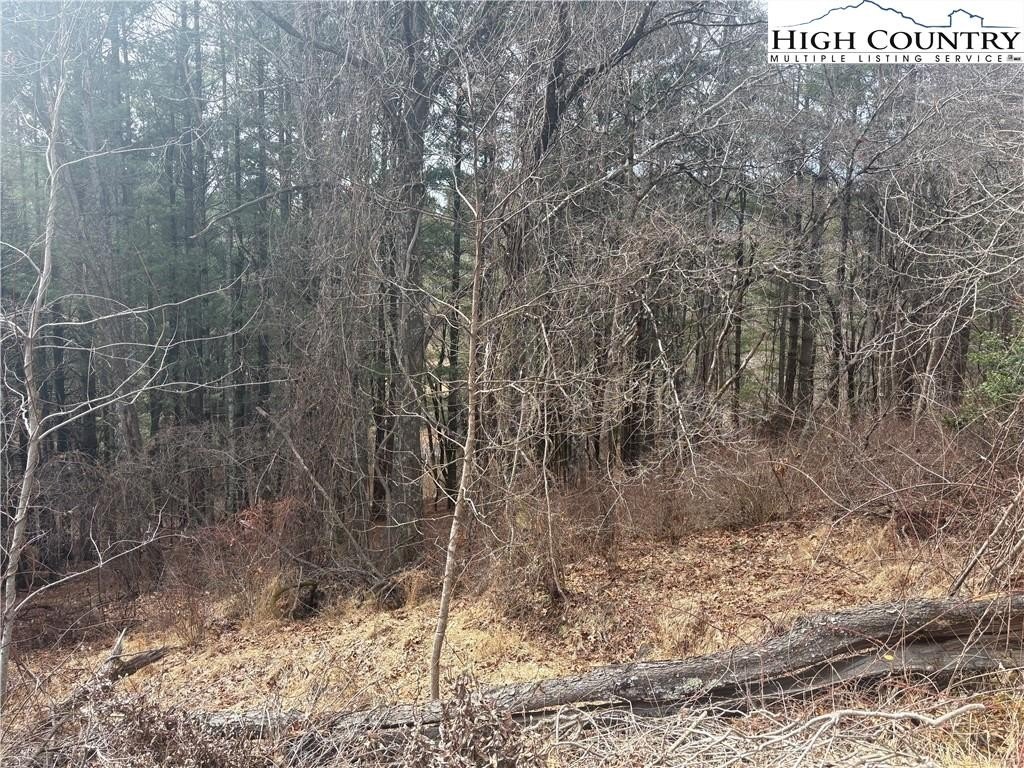 Residential Lot in Alleghany Manor