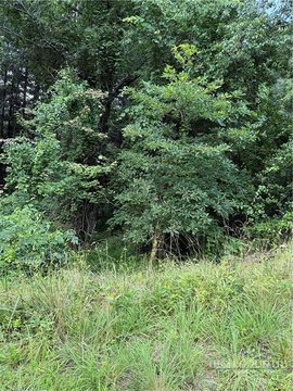 Residential Lot in Alleghany Manor