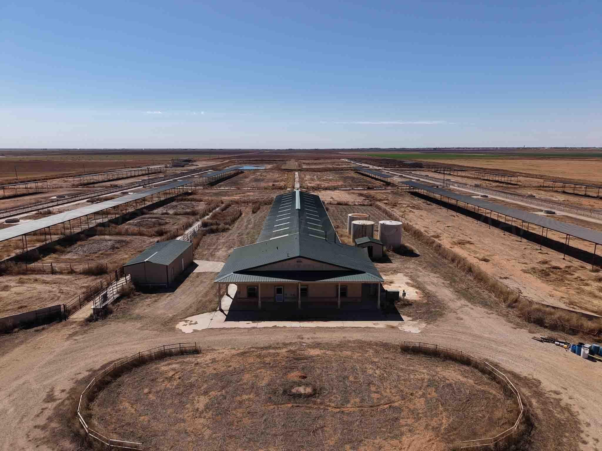 West Texas Dairy Farm Opportunity