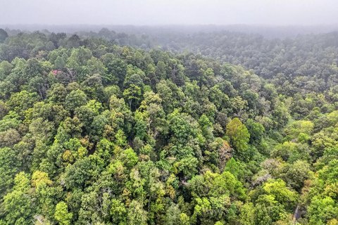 Land, Whitleyville, TN