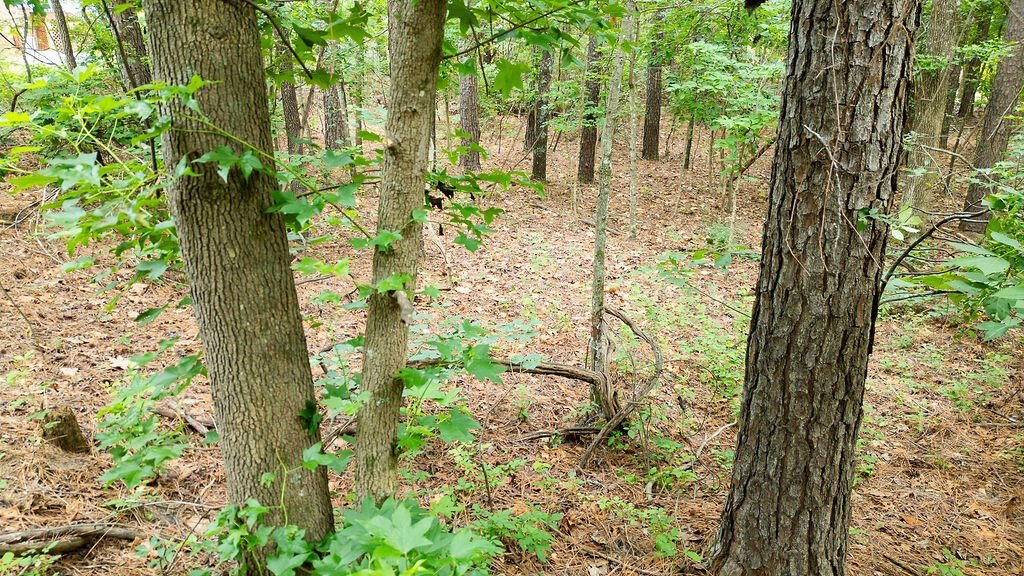 Picture 21