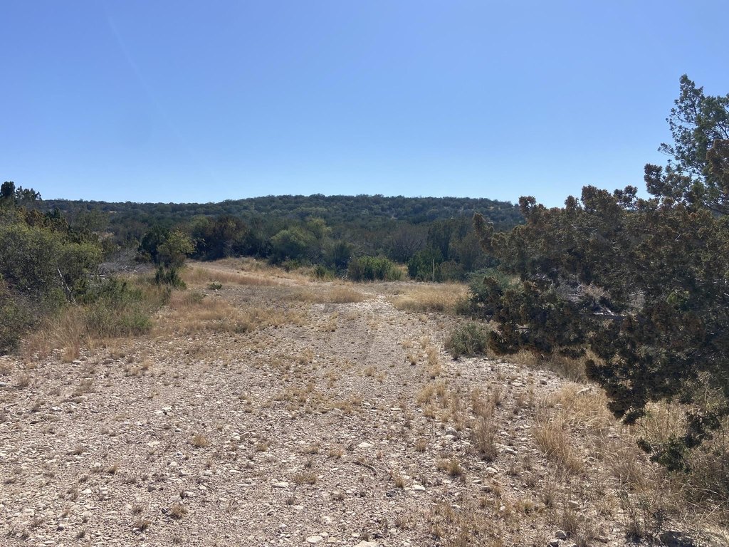 Picture 21