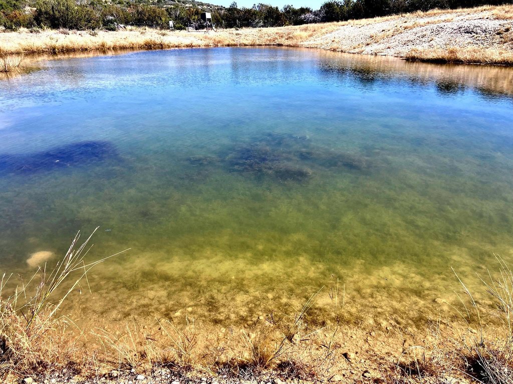 Picture 2