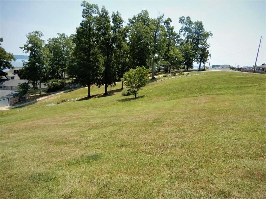 Picture 4