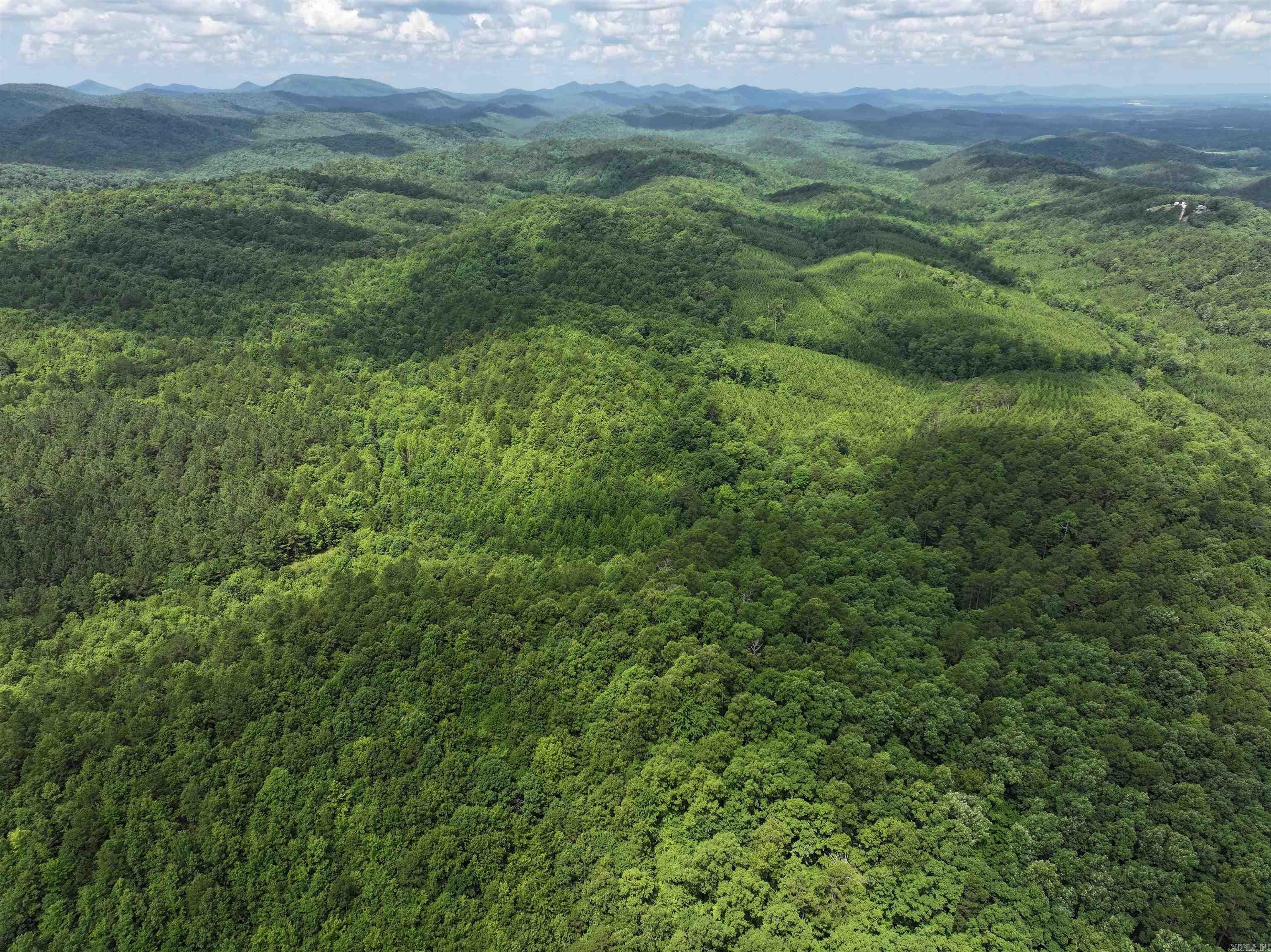 200 Acres Land Near Forest