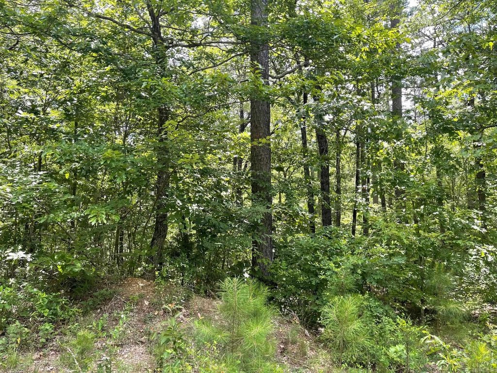 Picture 27