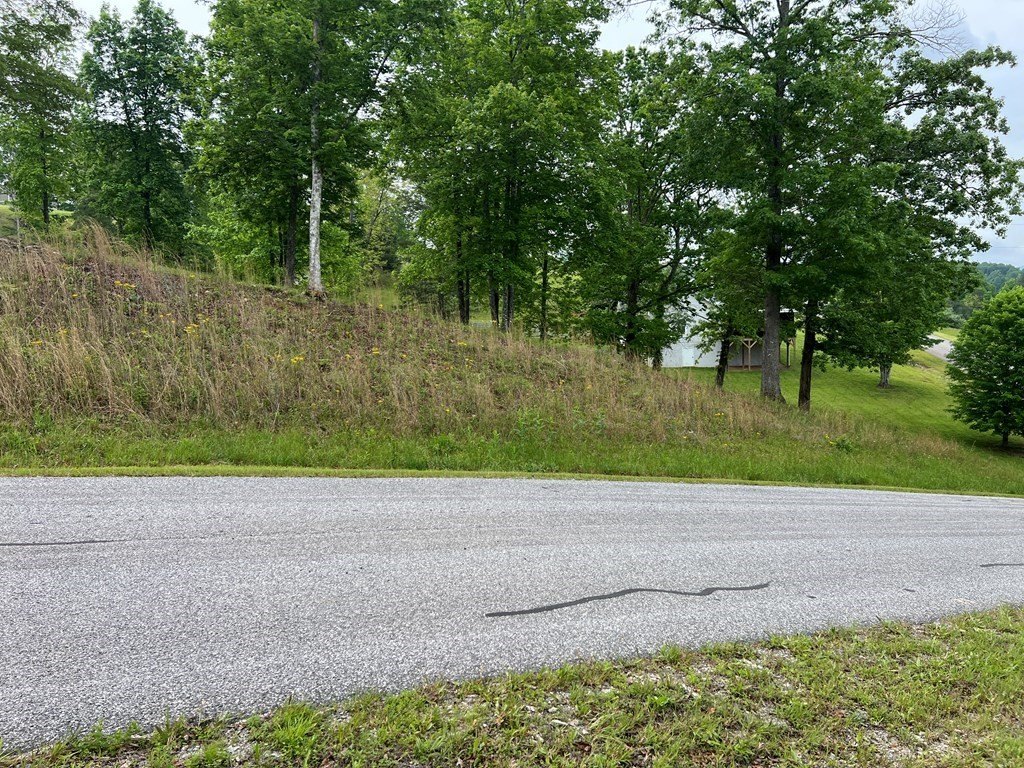 Picture 11