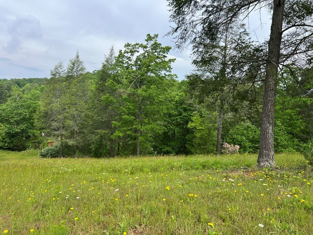 Picture 24