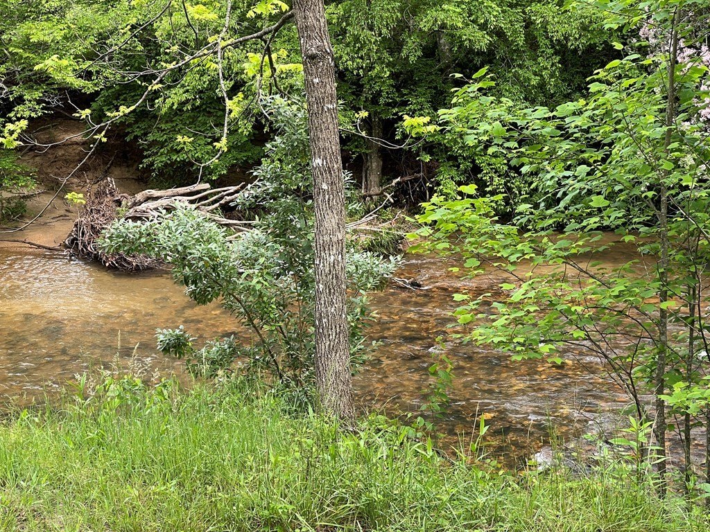 Picture 32