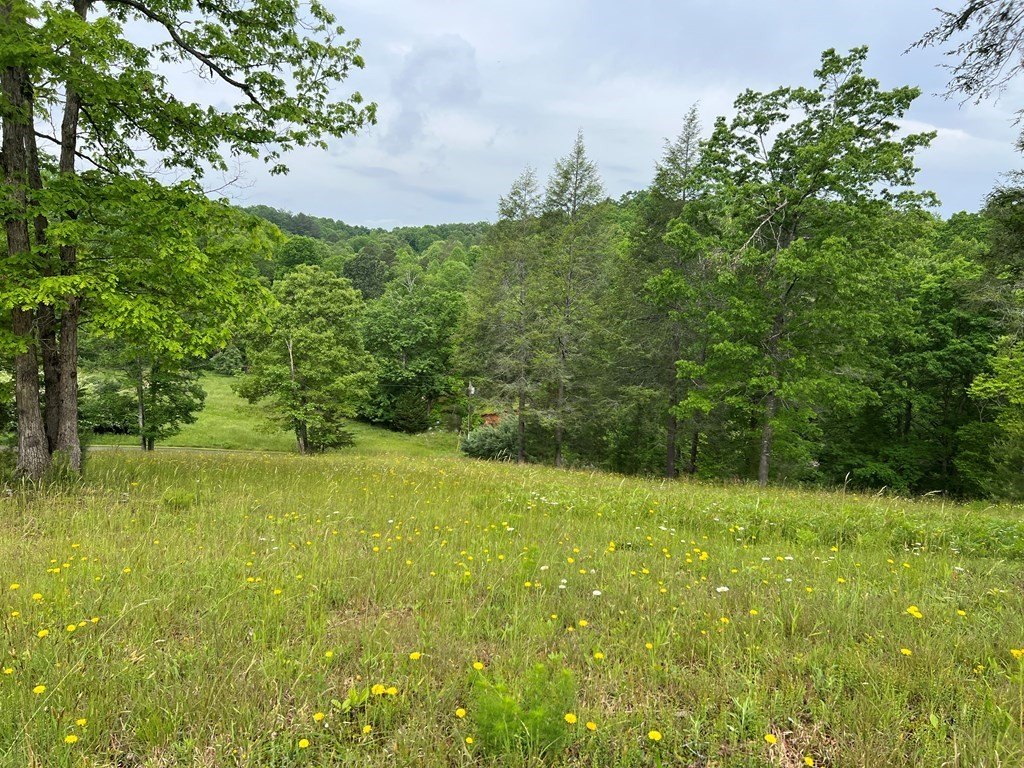Picture 29