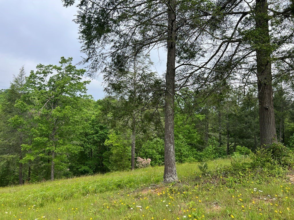 Picture 31