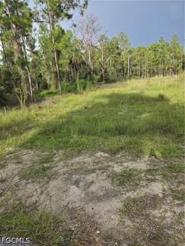 Land, Alva, FL