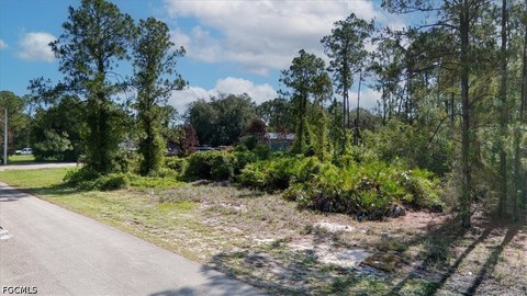 Land, Alva, FL