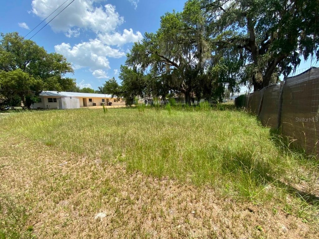 Picture 10