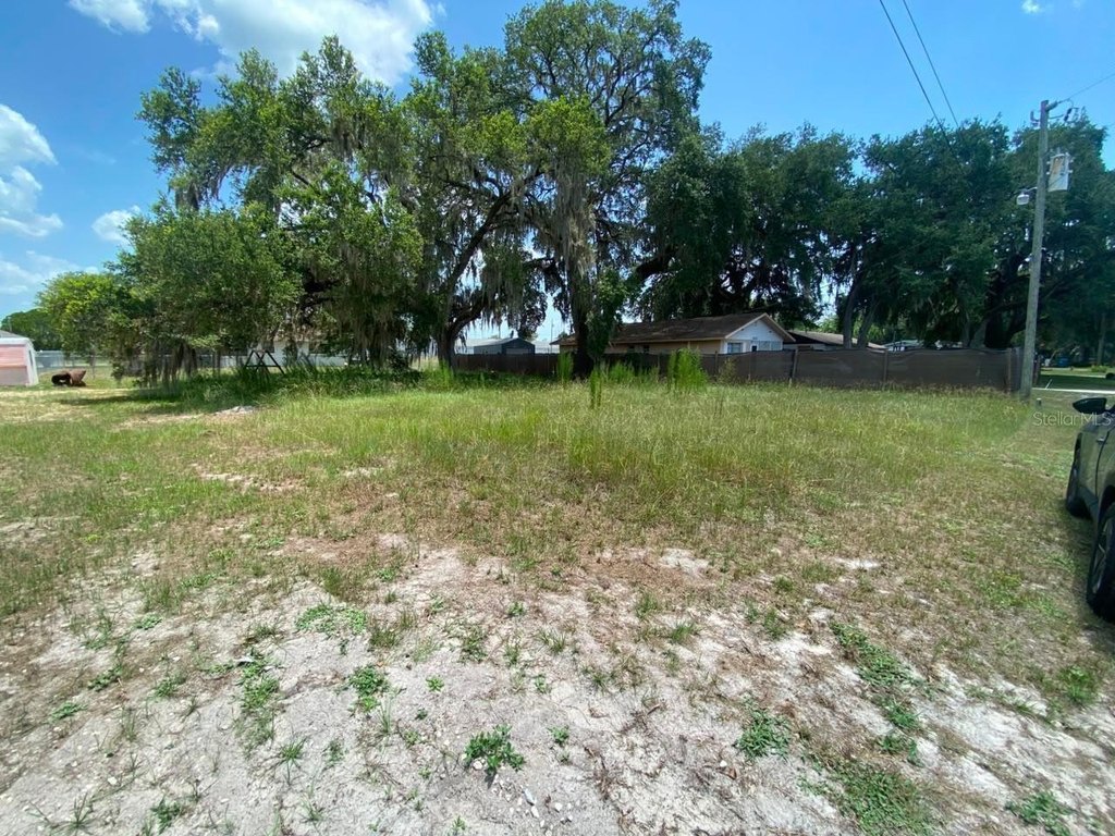 Picture 13