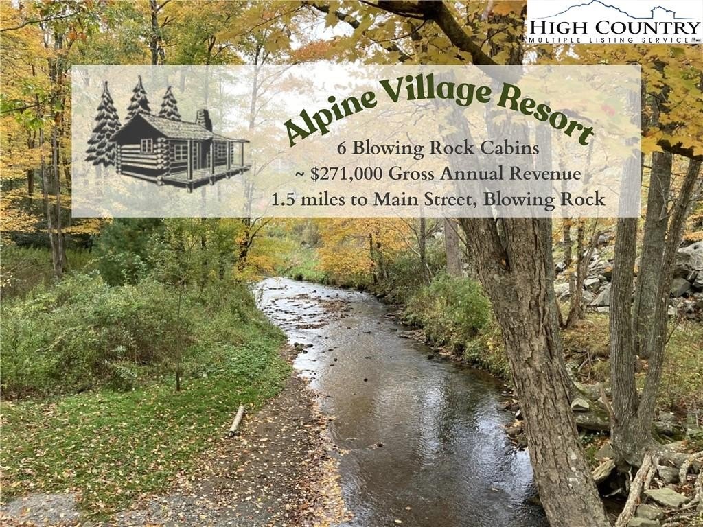 Mountain Resort Cabins Investment Opportunity