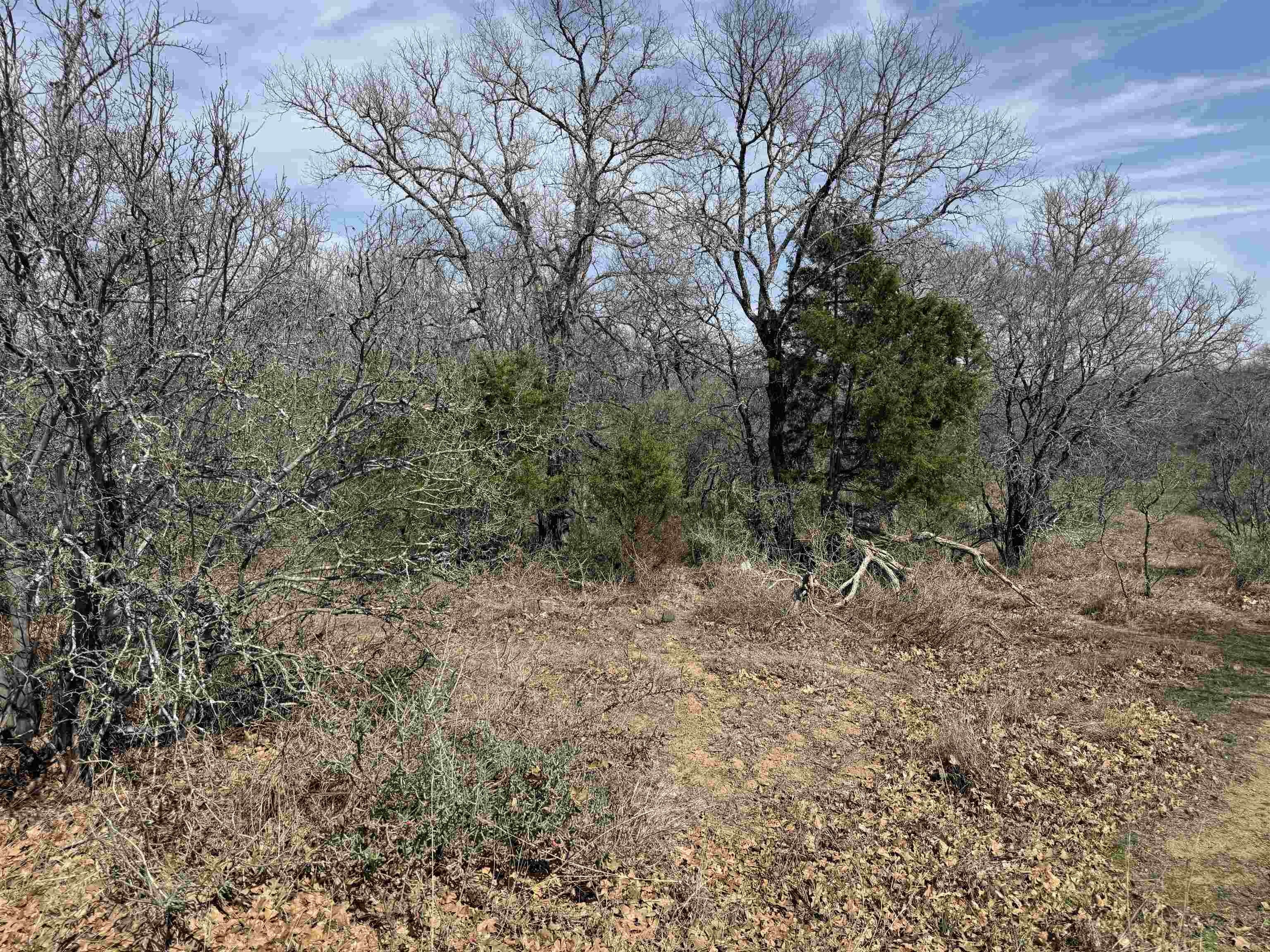 Kingsland Land Near Lake LBJ